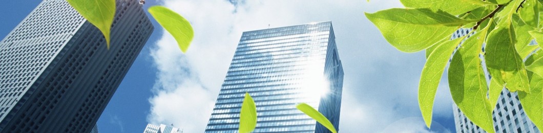 Become a WOW Network Corporate Sponsor